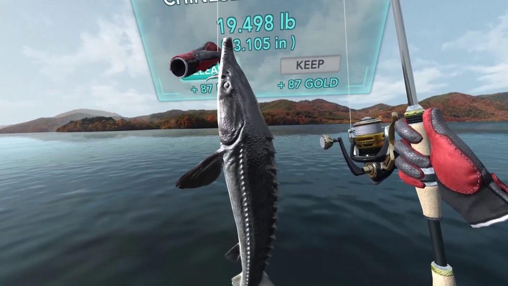 Real VR Fishing